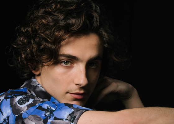 photo 14 in Timothee Chalamet gallery [id1359137] 2024-10-24 00:00:00