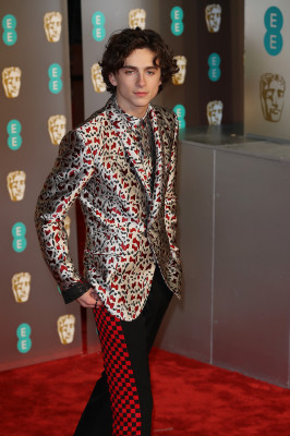 Timothee Chalamet pic #1302263