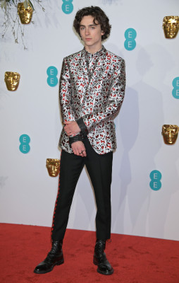 Timothee Chalamet pic #1302264
