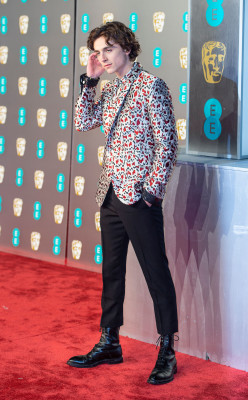 Timothee Chalamet pic #1302260