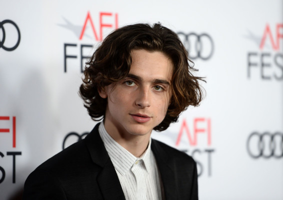 Timothee Chalamet pic #1302827