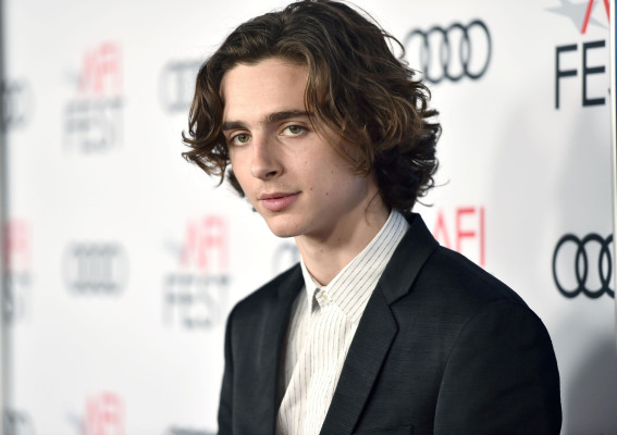 Timothee Chalamet pic #1302821