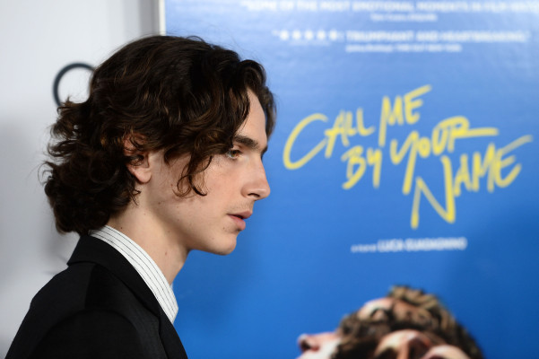 Timothee Chalamet pic #1302820