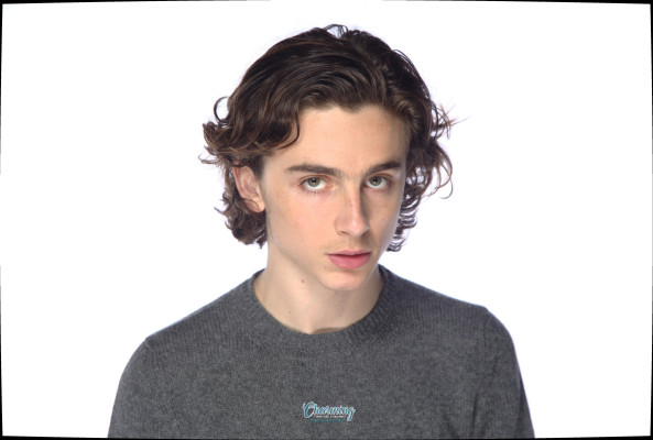 Timothee Chalamet pic #1320165