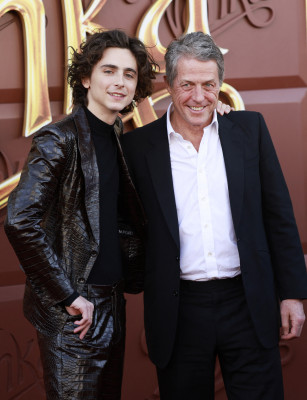 Timothee Chalamet pic #1340851