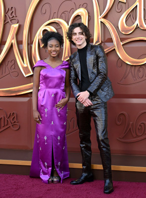 Timothee Chalamet pic #1340853
