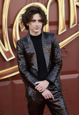 Timothee Chalamet pic #1340852