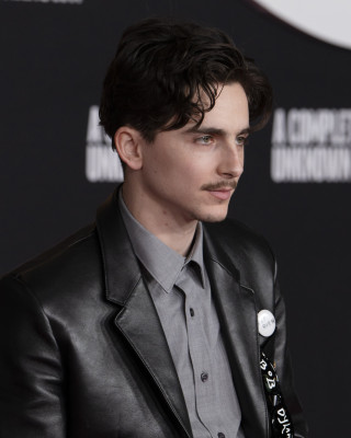 photo 16 in Chalamet gallery [id1366093] 2025-02-18 00:00:00