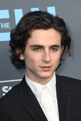 photo 19 in Timothee gallery [id1328473] 2023-06-10 00:00:00
