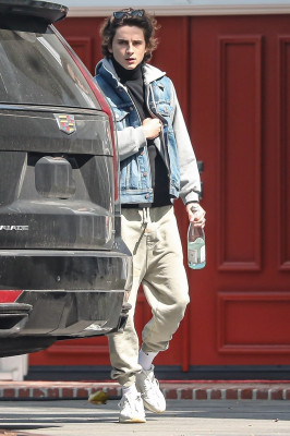 Timothee Chalamet pic #1327104