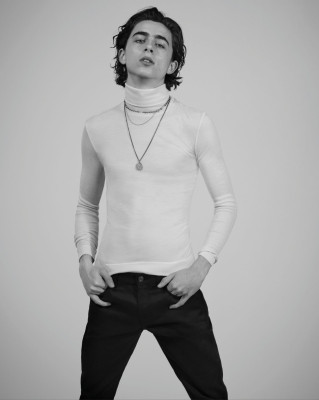 Timothee Chalamet pic #1024677