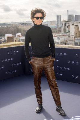 Timothee Chalamet pic #1346403