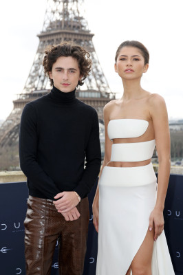 photo 3 in Timothee gallery [id1346402] 2024-03-20 00:00:00