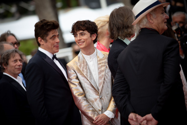 Timothee Chalamet pic #1295892