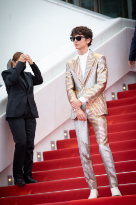 Timothee Chalamet pic #1295887