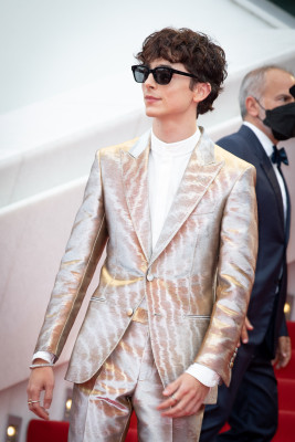 Timothee Chalamet pic #1295900