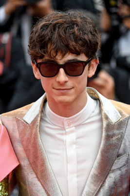 Timothee Chalamet pic #1295889