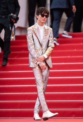 Timothee Chalamet pic #1295896