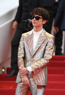 Timothee Chalamet pic #1295897