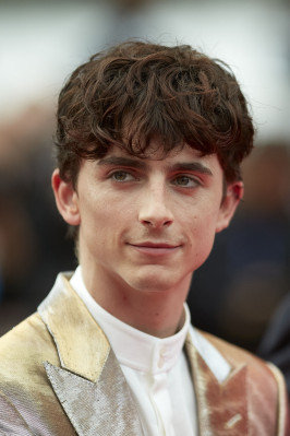 Timothee Chalamet pic #1295885