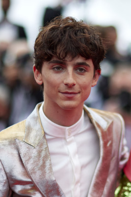 Timothee Chalamet pic #1295891