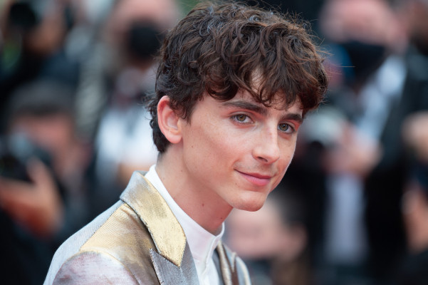 Timothee Chalamet pic #1295890