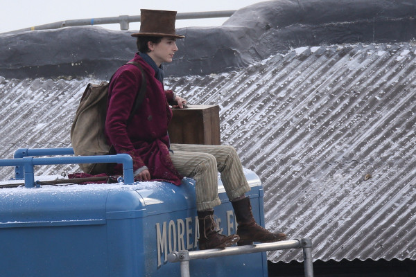 Timothee Chalamet pic #1274617
