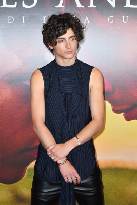 Timothee Chalamet pic #1316457