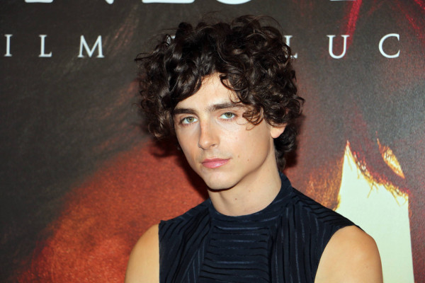 Timothee Chalamet pic #1316460