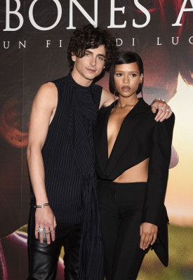 Timothee Chalamet pic #1316459