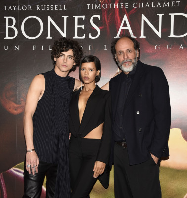 Timothee Chalamet pic #1316458