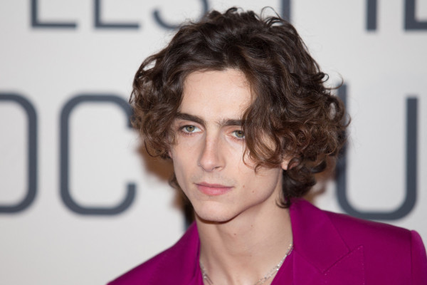 Timothee Chalamet pic #1295383