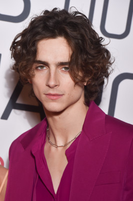 Timothee Chalamet pic #1295394