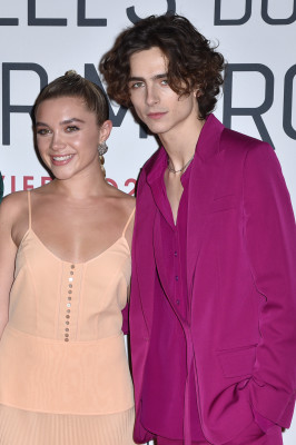 Timothee Chalamet pic #1295389