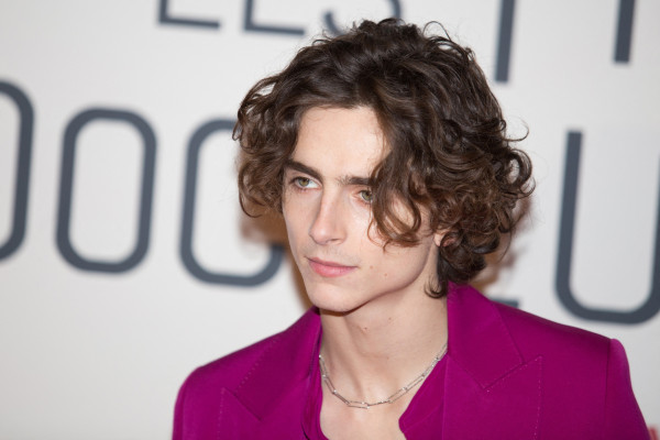 Timothee Chalamet pic #1295385