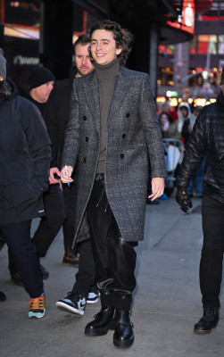 Timothee Chalamet pic #1341664