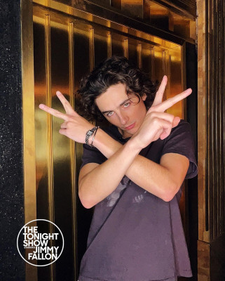 photo 29 in Chalamet gallery [id1344309] 2024-02-20 00:00:00
