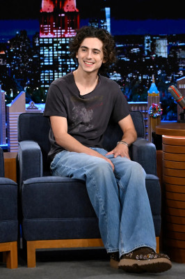 Timothee Chalamet pic #1344308