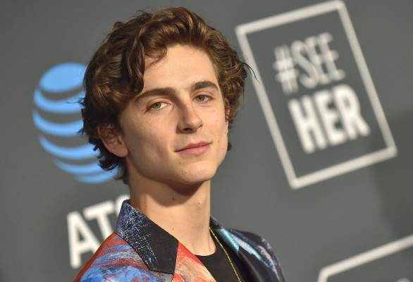 Timothee Chalamet pic #1280782