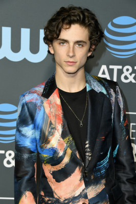Timothee Chalamet pic #1280730