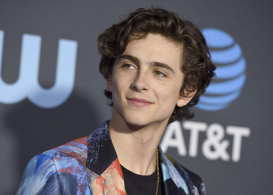 Timothee Chalamet pic #1280783