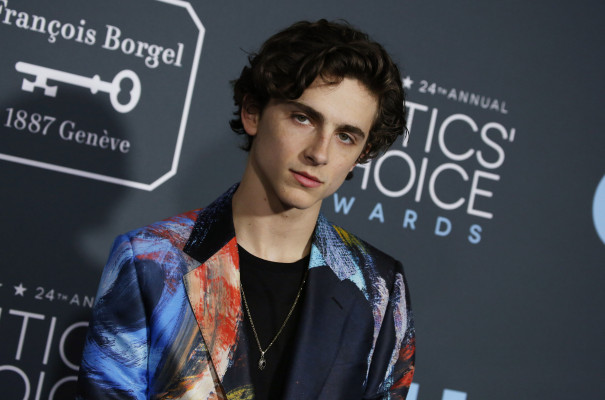 Timothee Chalamet pic #1280785