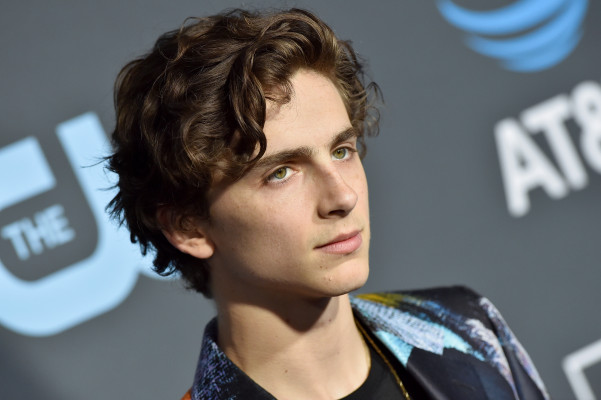 Timothee Chalamet pic #1280781
