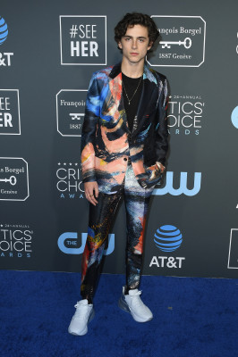 Timothee Chalamet pic #1280786