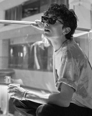 Timothee Chalamet pic #1319251
