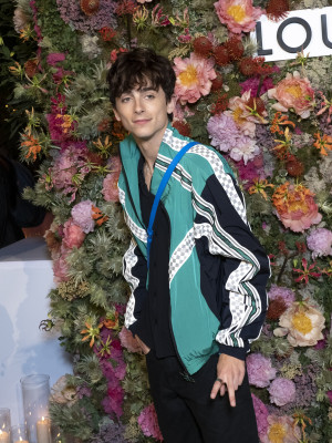 Timothee Chalamet pic #1282616