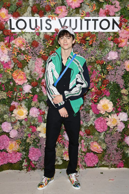 Timothee Chalamet pic #1282615