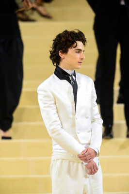 Timothee Chalamet pic #1321343