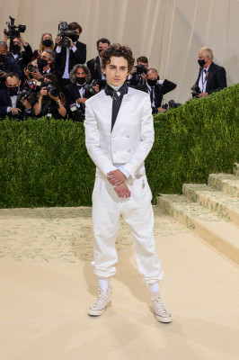 Timothee Chalamet pic #1270461