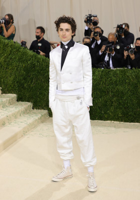 Timothee Chalamet pic #1270458